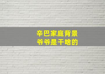 辛巴家庭背景 爷爷是干啥的